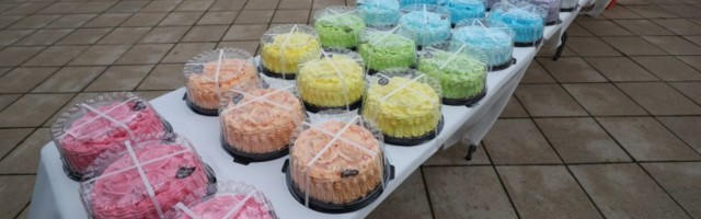 FOTOD JA VIDEO | Protestijad saatsid peaministrile sada torti, küsimaks kas "tordivalitsus" on Eestile ikka parim
