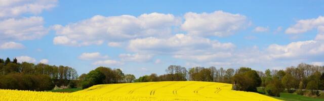 Läti suurim põllumajandusühistu kasvatas käivet ja kasumit