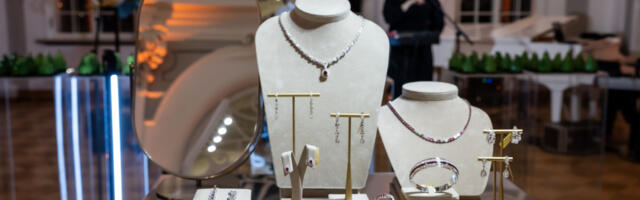 Kadrioru kunstimuuseumis sai kogeda, kuidas veeta õhtu miljoni euro keskel