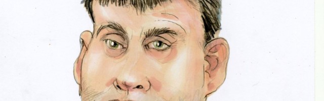 2020. aasta meediakangelased