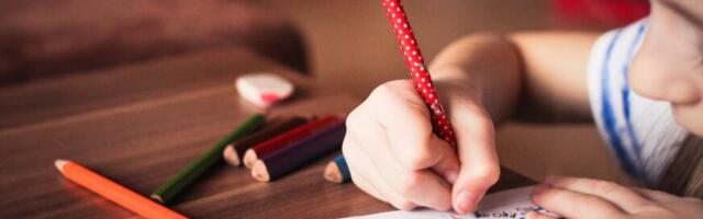 Kultuurikomisjon saatis esimesele lugemisele lasteaedade ja lastehoidude süsteemi uuendava eelnõu