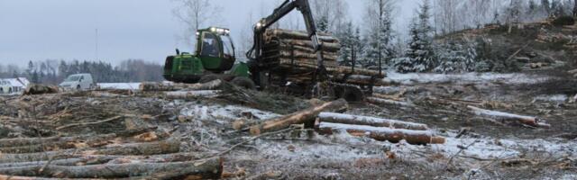 Metsavarumise palga TOP: 20 parimat palgamaksjat