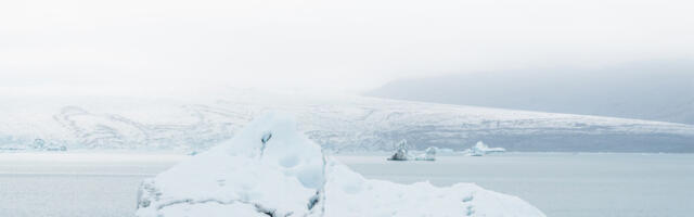 Taani kutsub Gröönimaale appi Saksa ja Prantsuse sõdureid