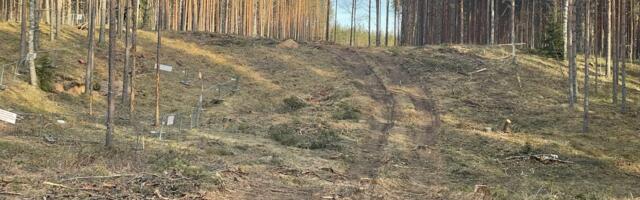 Täna algab Saatse saapa ümbersõidutee ehitus
