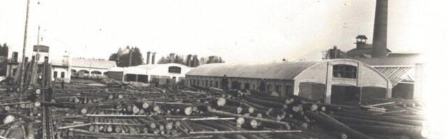 MEIE METSA LUGU | Eesti metsanduse ajalugu pähklikoores