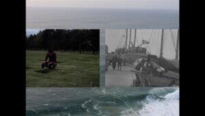 Teadus kõhutunde kaudu