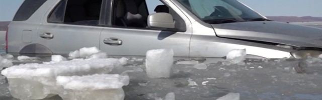 Reporter: Kalameestel jääb veel õigust ülegi