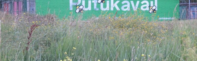 Sõna saba - Riina MÄRKMIK