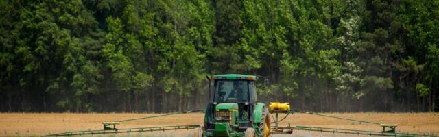 Tähelepanu põllutöödel: õitsema läinud taimi pritsida ei tohi!