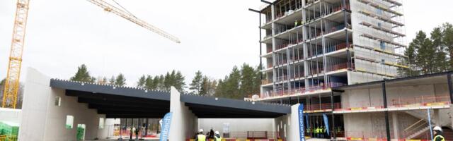 Ehituse vedas kasvule eksport