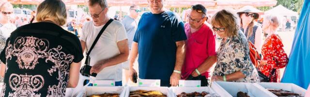 Rääbisefestivali menu viis selleni, et rääbist jagus vaid kiirematele