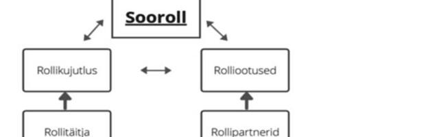 Kas tippspetsialisti rollil on soorolli nägu?