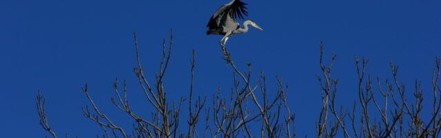 Täna pälvivad üheksa Eesti turismiettevõtjat kestliku turismi sertifikaadi