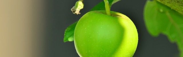 Kaarel Ots: kuidas saada osa majanduskasvust?