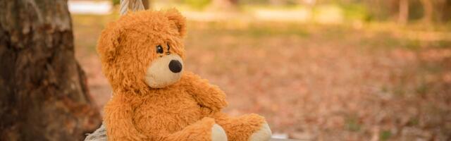 Lastekaitse Liidu vihjeliinile laekus aasta jooksul 822 teadet laste seksuaalsest väärkohtlemisest internetis