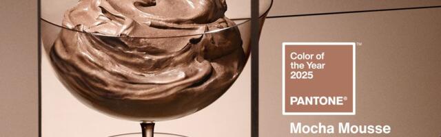 Pantone kuulutas välja 2025. aasta värvi: Mocha Mousse