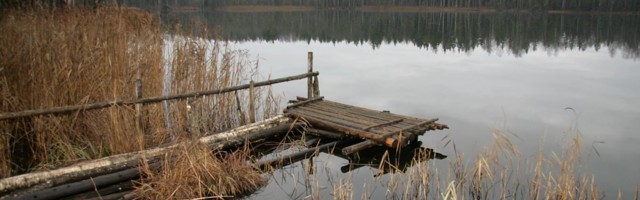 Alutaguse rahvuspark saab ühtse kaitse-eeskirja