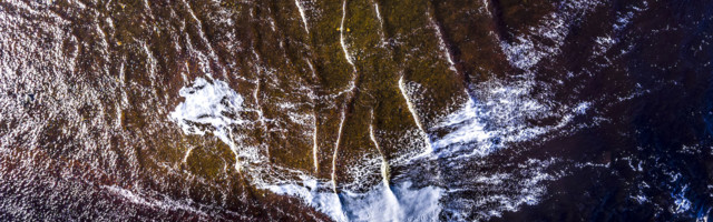 Tervishoiutöötajate rahvusvaheline hoiatusteade kõigile inimestele ja valitsustele kogu maailmas