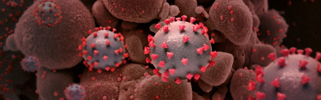 Koroonaviiruse ohtlik India tüvi sai uueks nimeks Delta, UK tüvi Alfa – ja selleks on põhjust