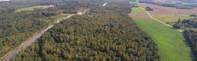 Tähtvere puhkemetsades planeeritakse mahukat lageraiet