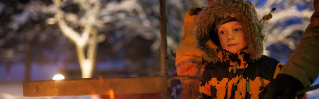 RMK eriprogramm „Jõulupuu lugu!“ täitus päevaga – suur huvi näitab, et loodusõpe on hinnatud