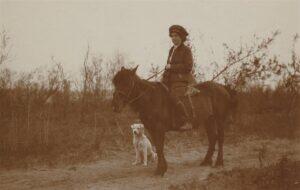 Rietite võimas fotodünastia