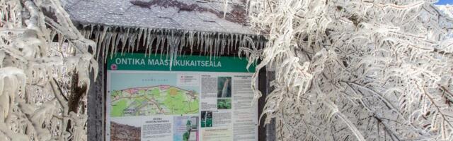 PILDIGALERII ⟩ Valaste joa juures saab imetleda muinasjutulist jäämaailma