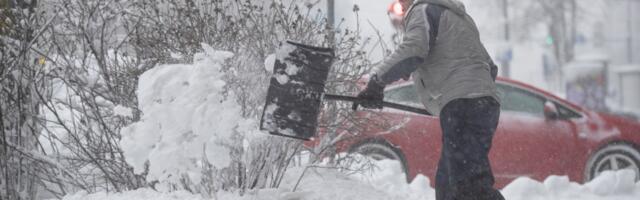 GALERII JA VIDEOD | Tallinnas sadas maha paks lumi. Pärtel-Peeter Pere: lumekoristus linnas toimib