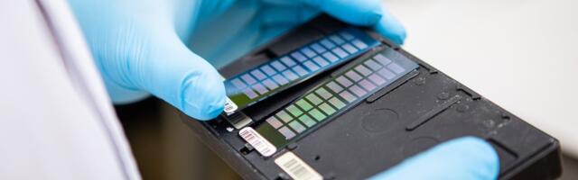 Suurprojekt: hakatakse looma üleeuroopalist genoomiandmebaasi