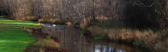 Indrek Sarapuu - Hinged päeval, hinged öös - ajakajaline