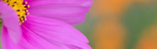 16. august : tänase päeva sõnumid (numeroloogia)