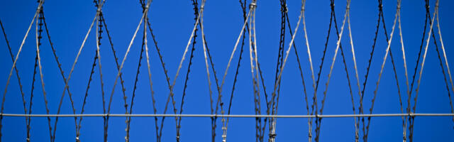 Airi Värnik: põhjused, miks võõrvange ei tohi mingil juhul Eestisse tuua