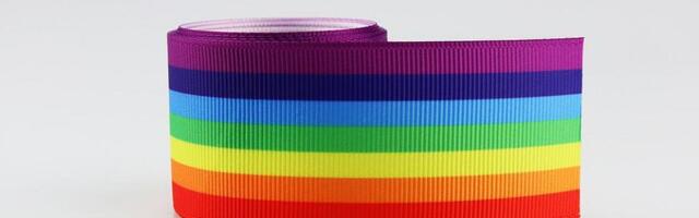 Niger kriminalizovao homoseksualnost