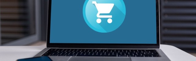 Uuring: internetimüük ei ole Eesti väikeettevõtete seas märgatavalt kasvanud