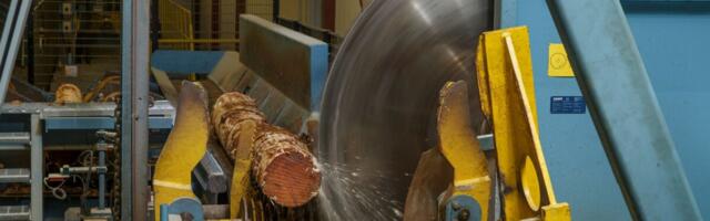 Puidutööstuste juhid prognoosivad langust