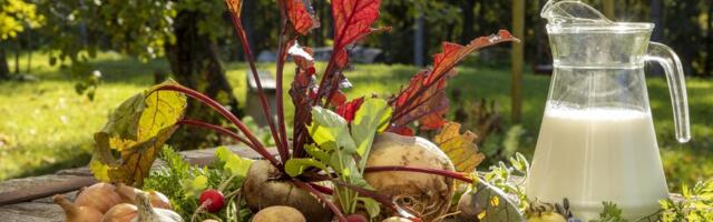 MÕTTEKOHT | Niikaua kui toit on poes olemas, ei saada aru, kust see tuleb