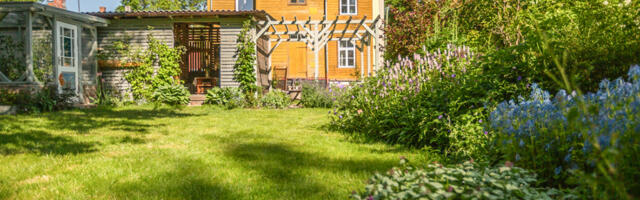 Tartu linn pakub koduaedades elurikkuse loomiseks toetust