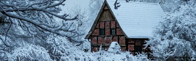 Nädalahoroskoop 2.–8. veebruar: armastus, raha ja töö – mida tähed sinu jaoks tegelikult plaanivad