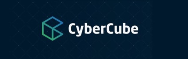 CyberCube is looking for Senior Team Lead