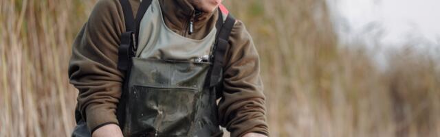 Mullu aitas kalu valvata ligi 400 vabatahtlikku