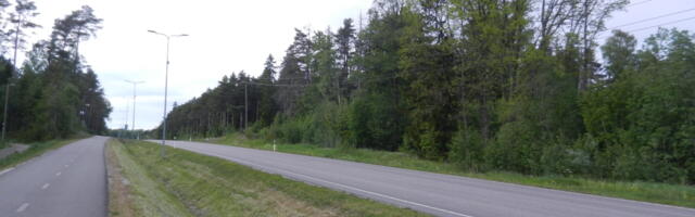 Vähetuntud Viimsi: Kivirinna mägi