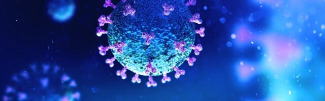 Uuring: kaks korda kergelt põdemine ei välista rasket kolmandat põdemist