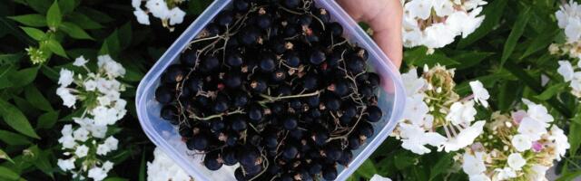 Külastati UMA MEKK laada parima mahetoote valmistajat