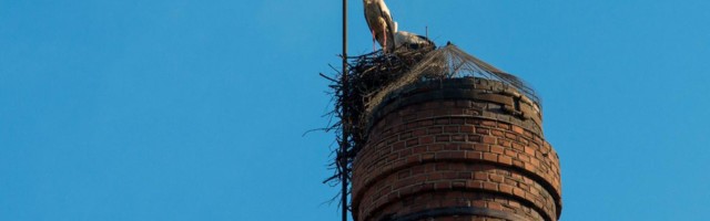 Kliimamuutusteks on Eesti firmad vähe valmistunud