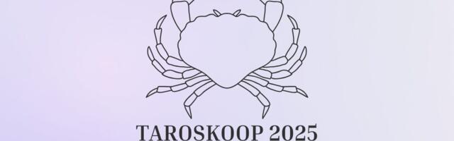VÄHK – Põhjalik Taroskoop 2025