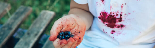 Plekieemaldajat pole vaja: plekid saad riietelt maha hoopis teise vahendiga