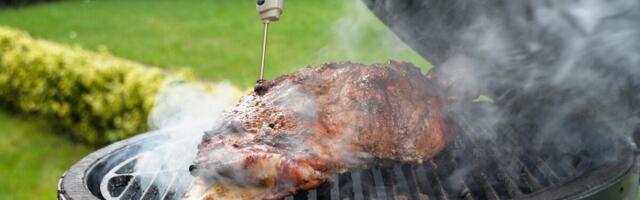 Metssealiha tohib restoranidesse jõuda vaid pärast ohutut töötlemist