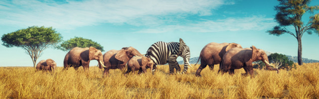 Podcast “Ööülikool”. Grete Arro: miks maailm meie omailma ära ei mahu?