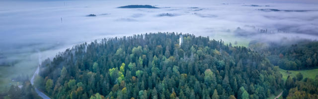 Lõuna-Eesti ilu ja elu näitava fotokonkursi tulemused teada