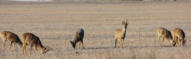 Enamus keskkonnaalaseid rikkumisi on ennetatavad